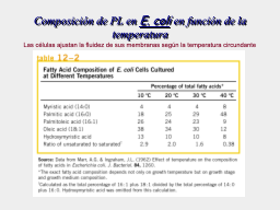 Slide 11