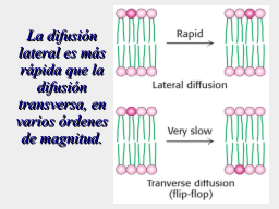 Slide 12