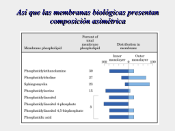 Slide 13