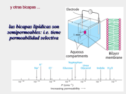 Slide 15