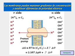 Slide 16