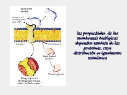Slide 17