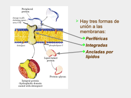 Slide 18