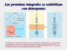 Slide 19
