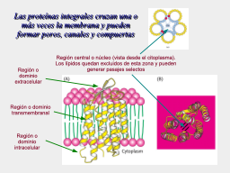 Slide 20