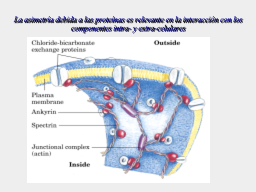 Slide 21