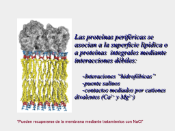 Slide 22