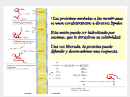 Slide 23