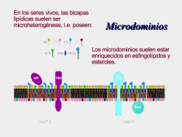 Slide 24