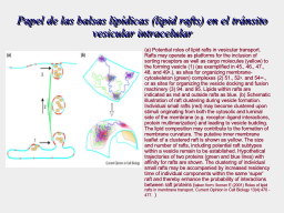 Slide 25