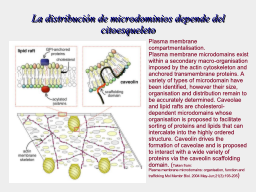 Slide 26