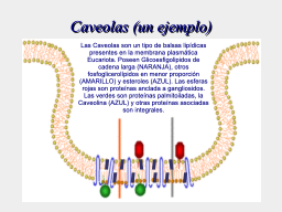 Slide 27