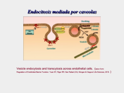 Slide 28