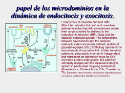 Slide 29