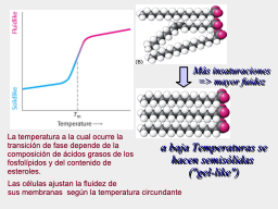 Slide 7