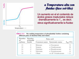 Slide 9