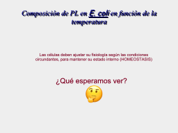 Slide 10