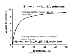Forma de la saturación