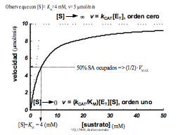 Sustrato igual a Km