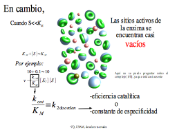 Enzima con sustrato limitante