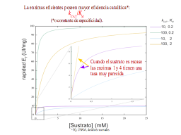 La eficiencia catalítica significado