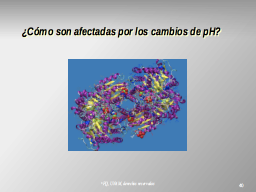pH y enzimas