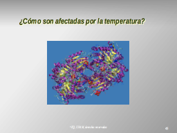 Enzimas y temperatura