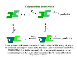 Cooperatividad homotrópica