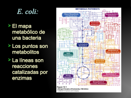 Slide 11