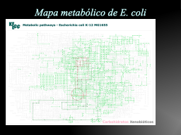 Slide 12