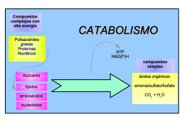 Slide 13