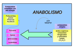 Slide 14