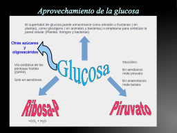 Slide 16