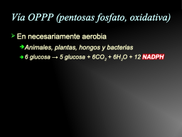 Slide 17