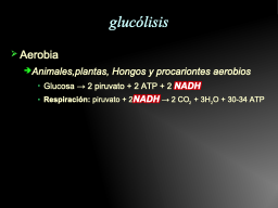Slide 19