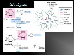 Slide 20