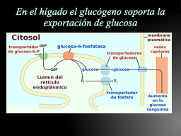 Slide 21