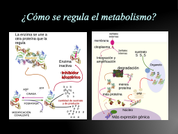 Slide 26