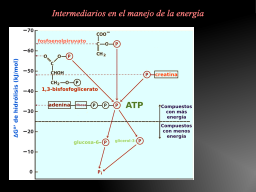 Slide 7