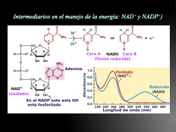 Slide 9
