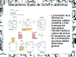 Slide 11