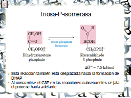 Slide 13