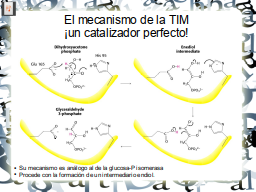 Slide 15