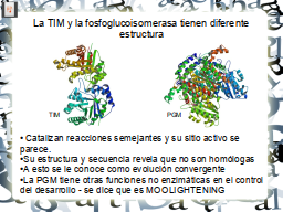 Slide 16