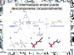 Slide 17