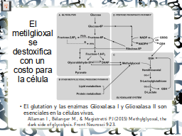 Slide 18