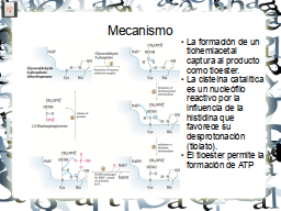 Slide 21