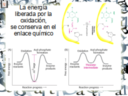Slide 22