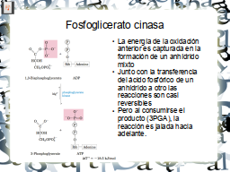 Slide 23