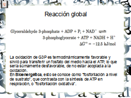 Slide 24